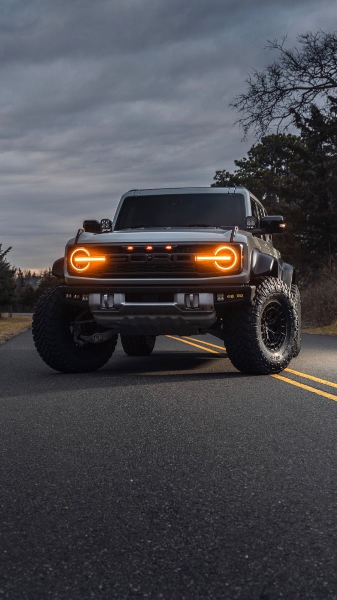 Ford 3