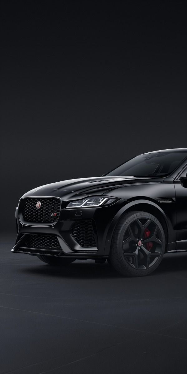 Jaguar 1