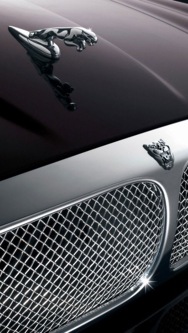 Jaguar 2