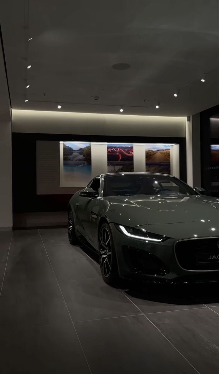 Jaguar 3
