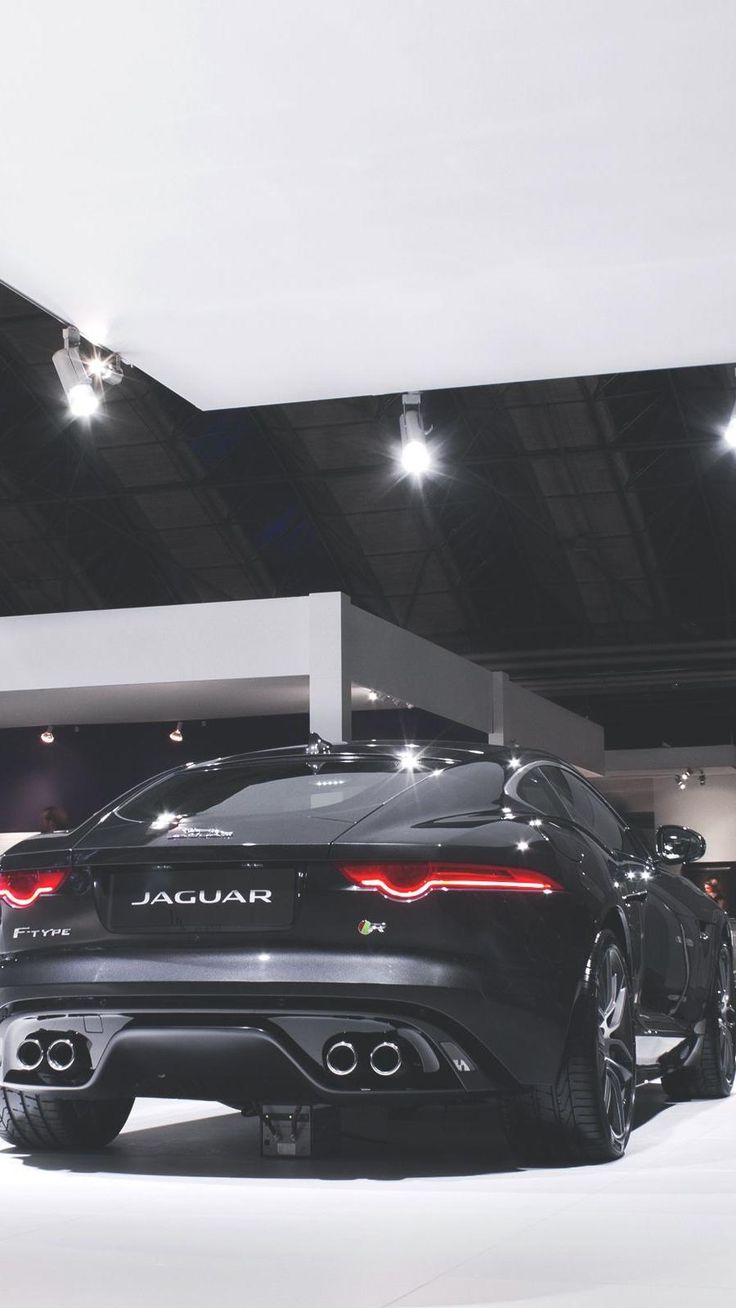 Jaguar 4