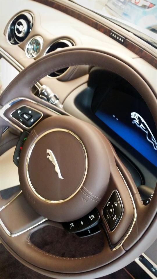 Jaguar 5